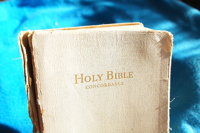 bible, white bible, old, christian, faith, bible study, read, book, bible, bible, bible, bible, bible, bible study, bible study, bible study
